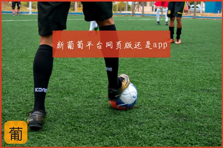 新葡萄平台网页版还是app