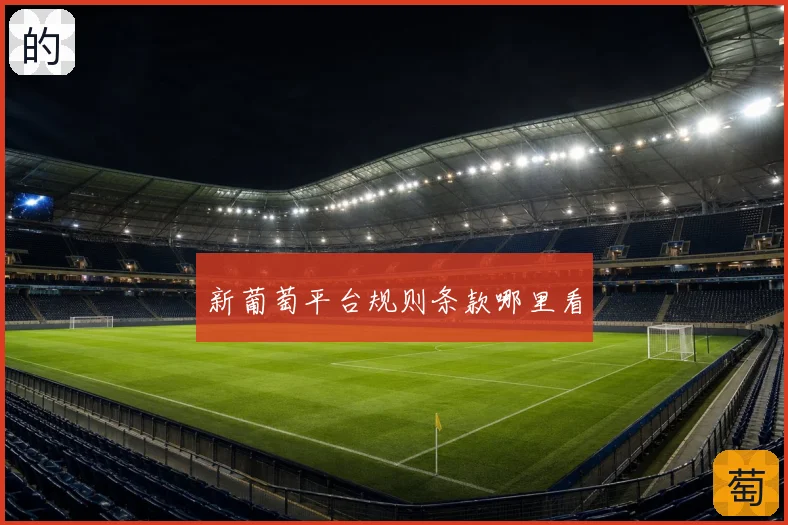 新葡萄平台规则条款哪里看